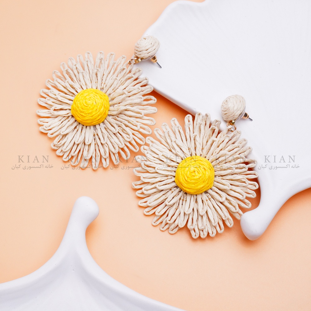 dsc00443-5_2147095254