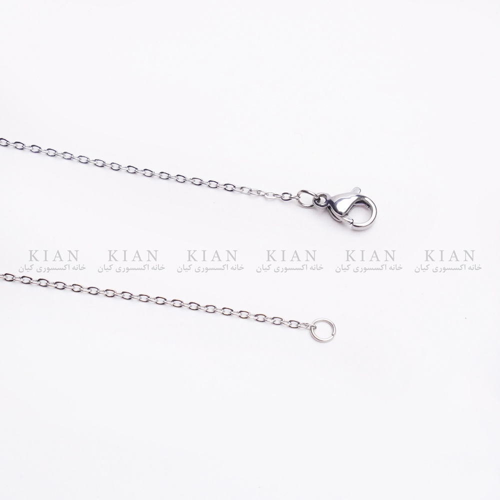 dsc08828-2_1713495604