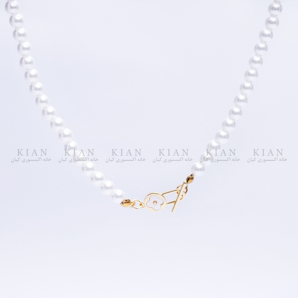 dsc08970-2_1226513118