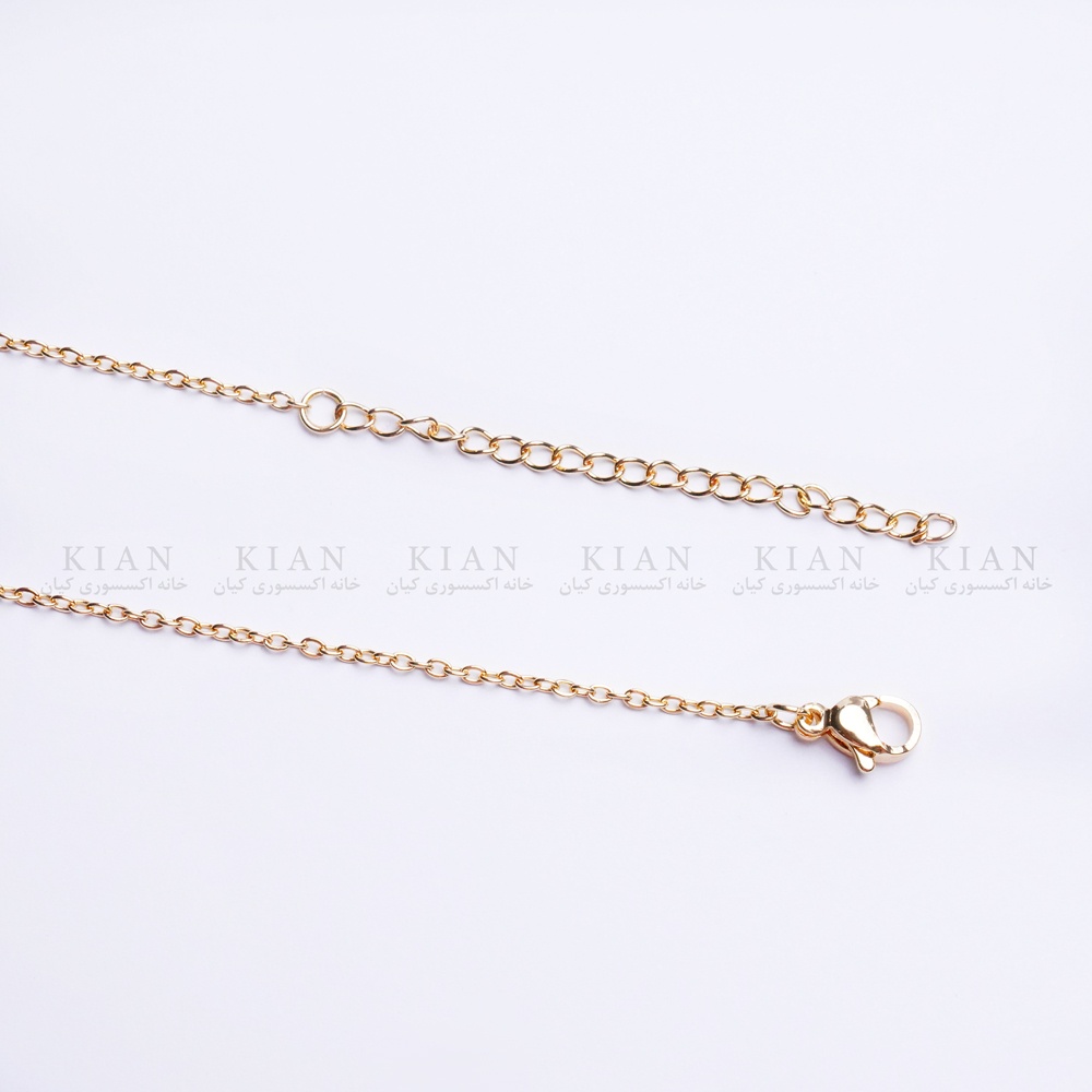 img_5172-2_1824569099